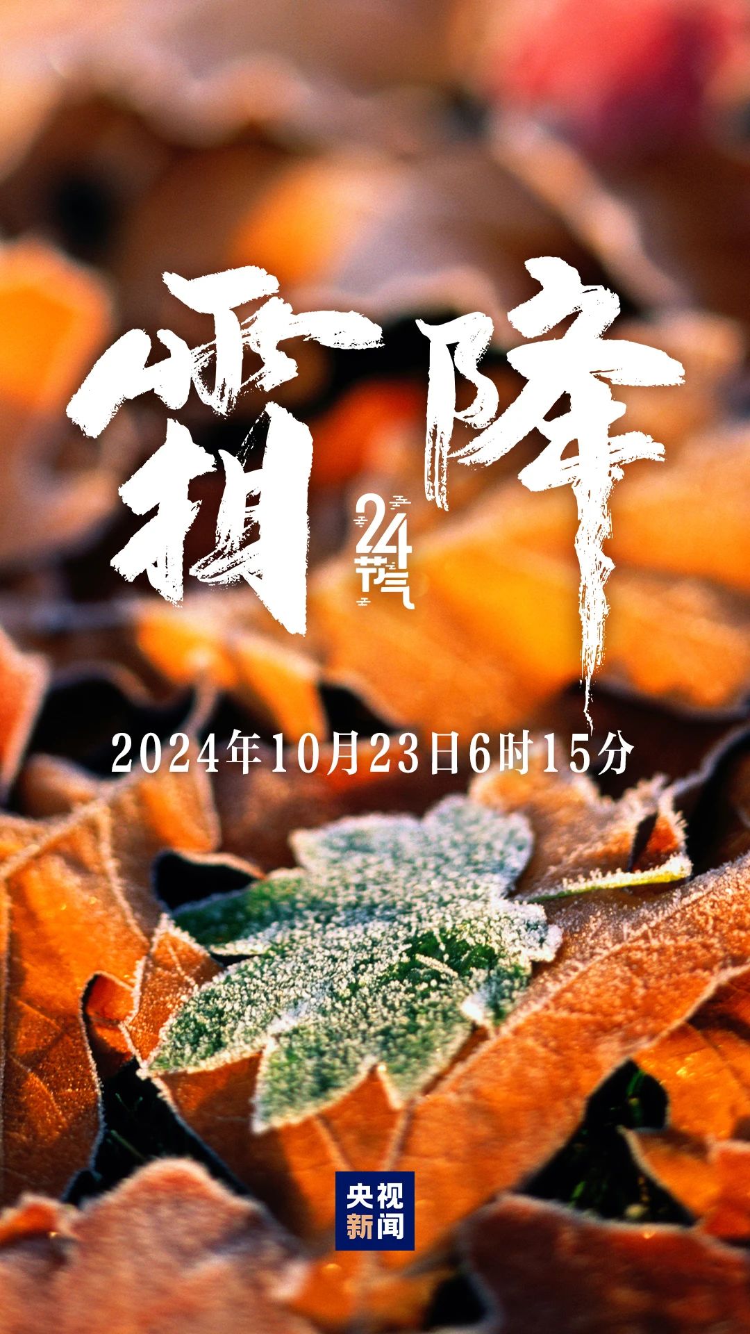 香港网上购物官方网站